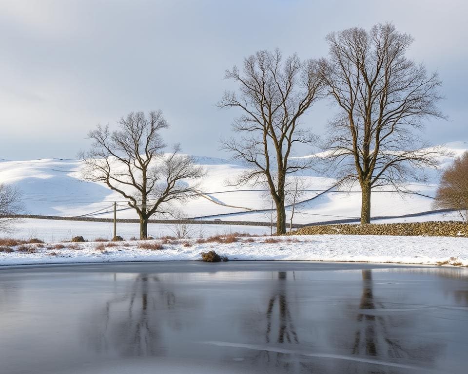 How healing is winter stillness in the Dales?